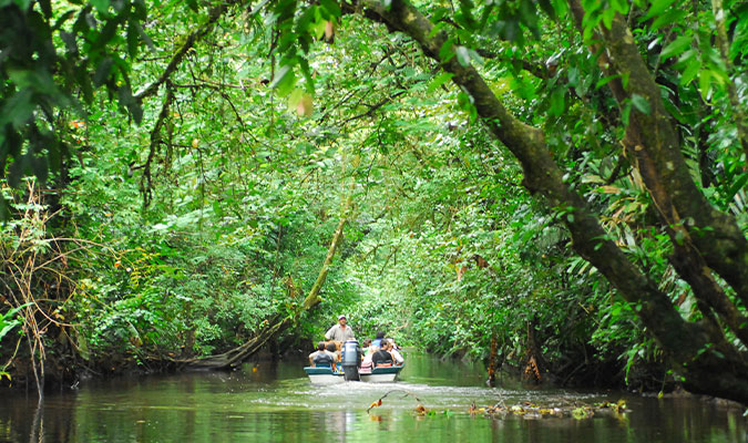 Tortuguero National Park,