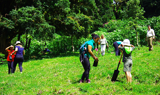 costa rica sustainability bosque vivo 