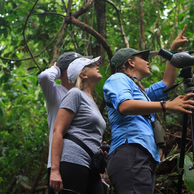 central pacific bird watching