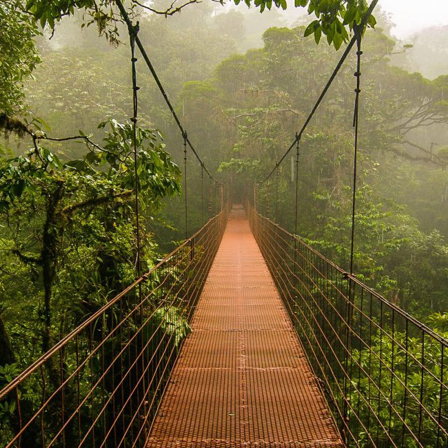 guanacaste bridge