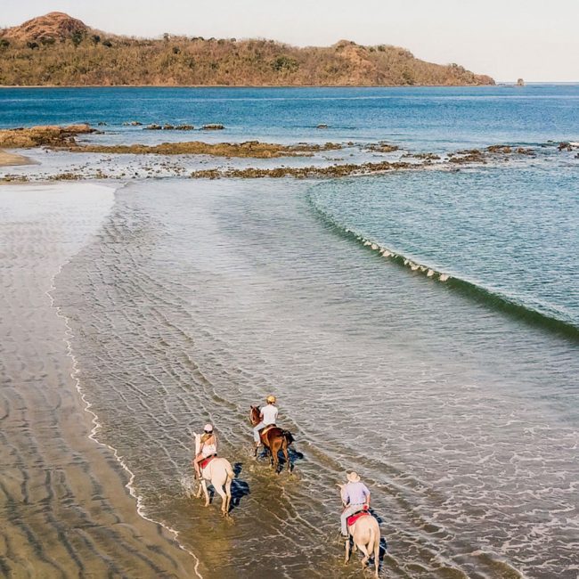 guanacaste horses