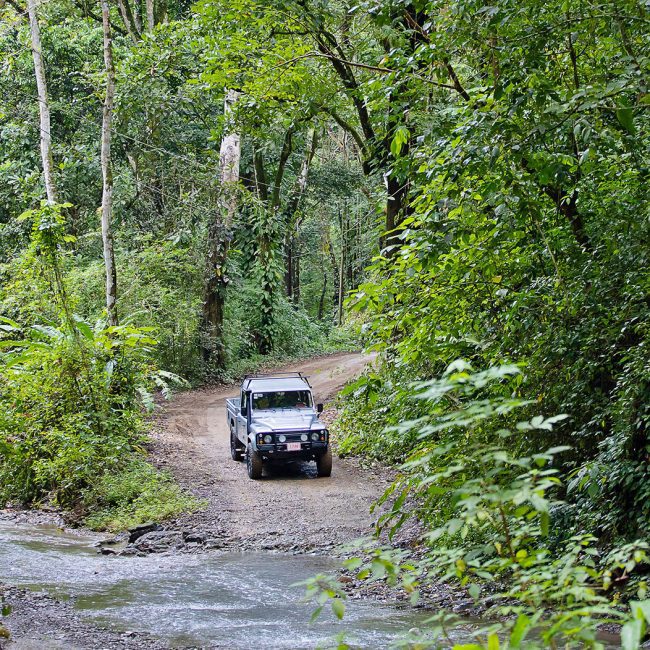 nicoya peningula junge