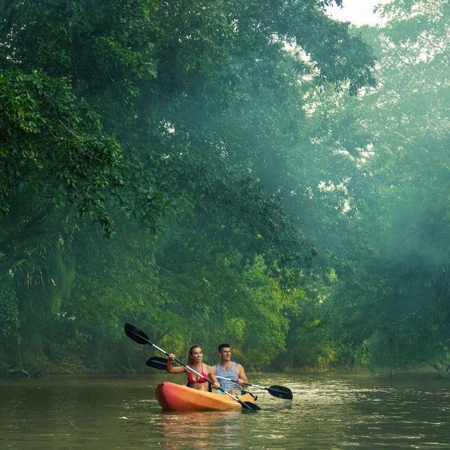 northern region kayak