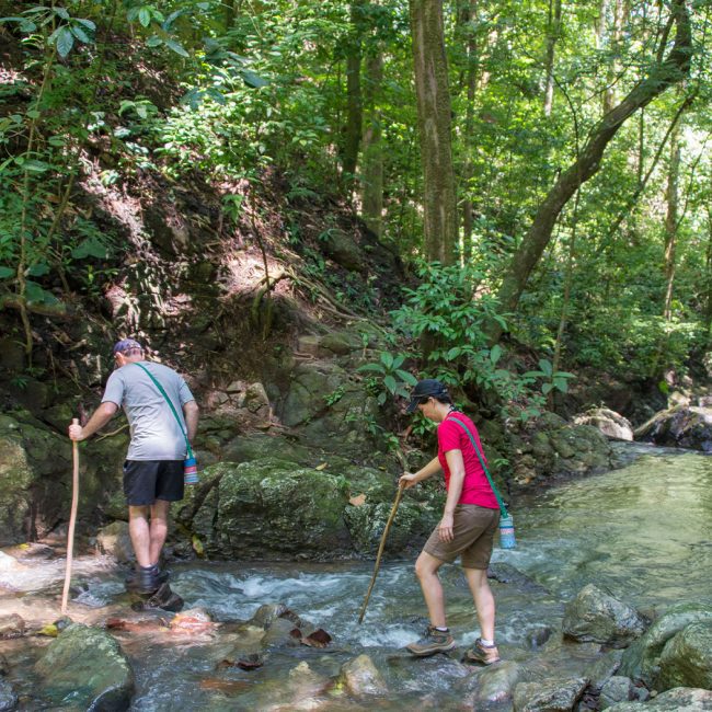 osa peninsula hiking