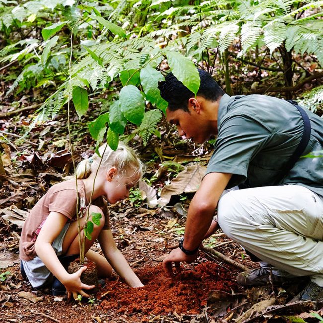 osa peninsula kid