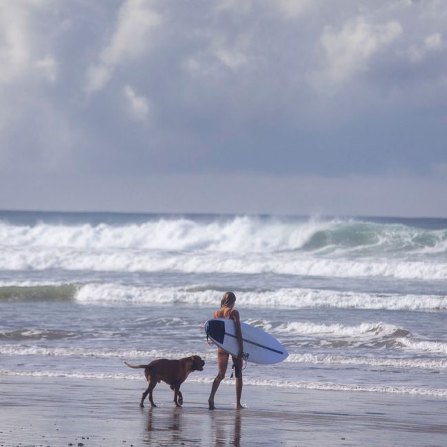 nicoya peningula surf