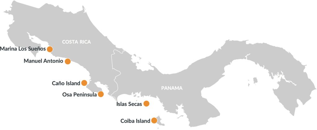 map final